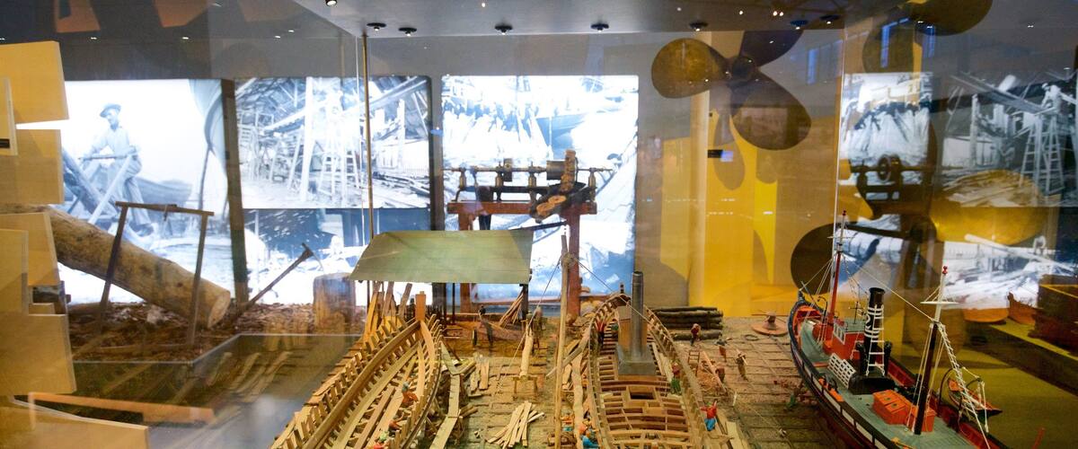 Museo de Portimão mostrando vistas de interior y elementos patrimoniales