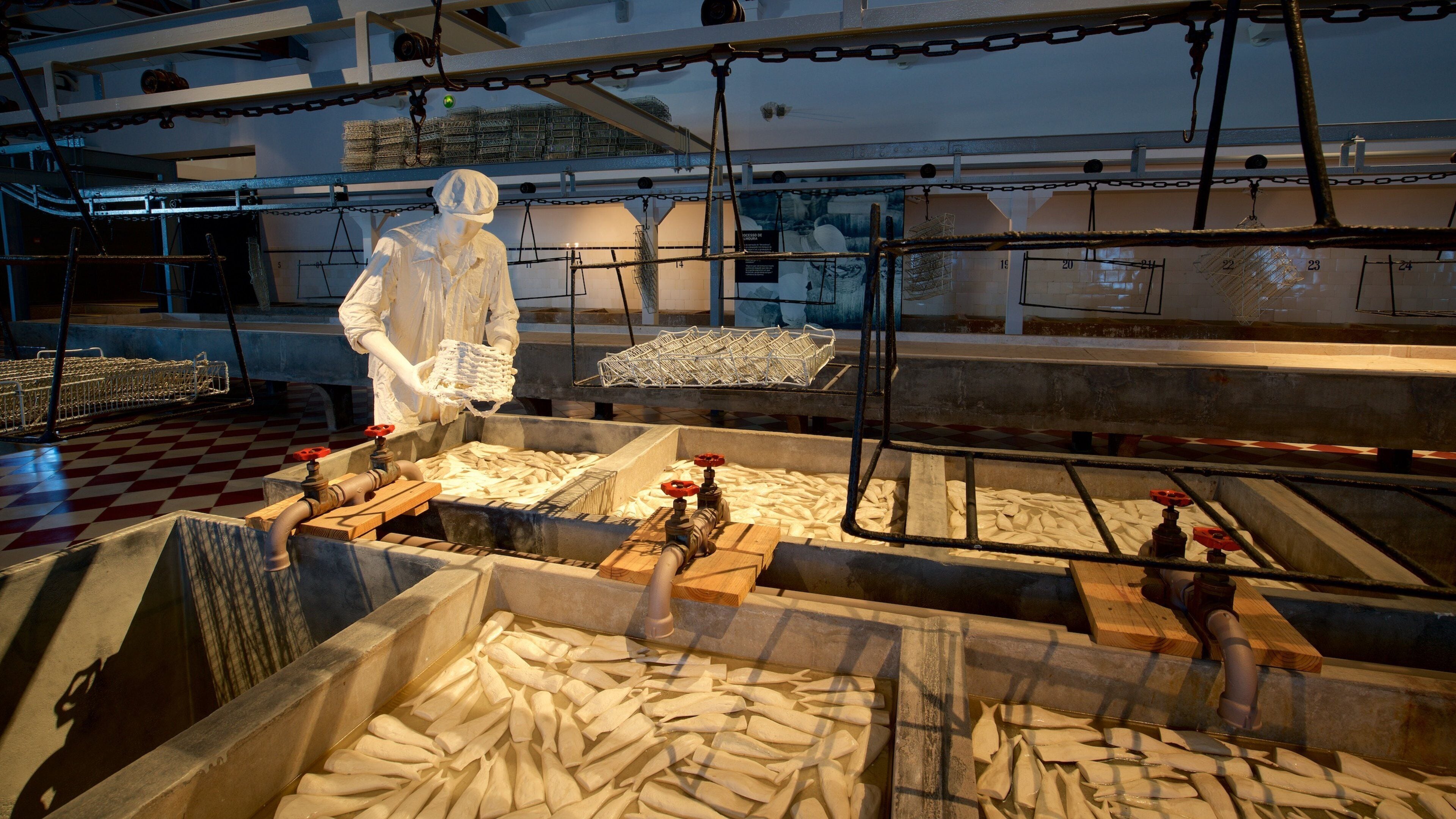 Musée de Portimão mettant en vedette vues intérieures
