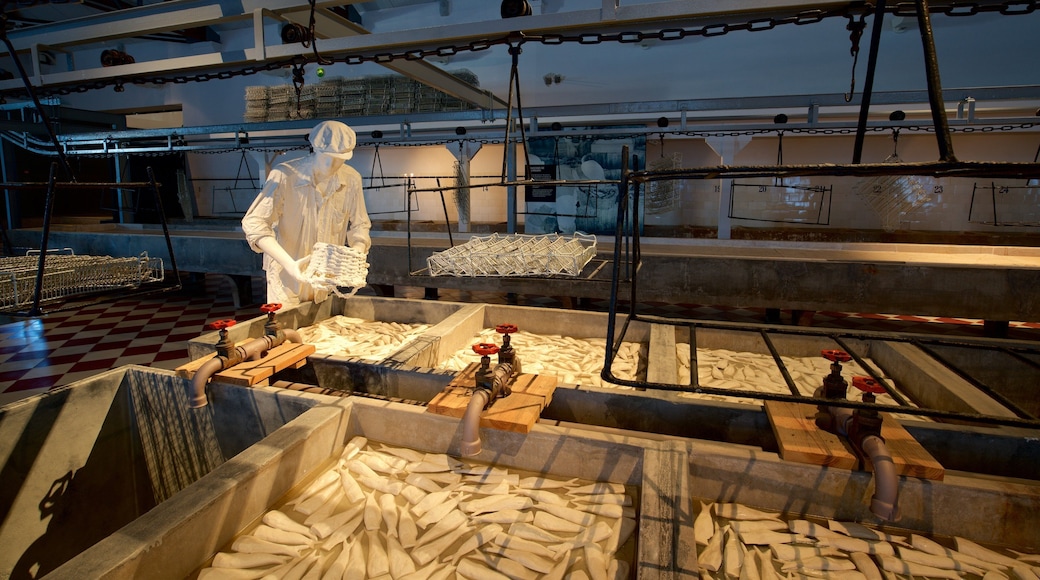 Portimão museum som inkluderer innendørs