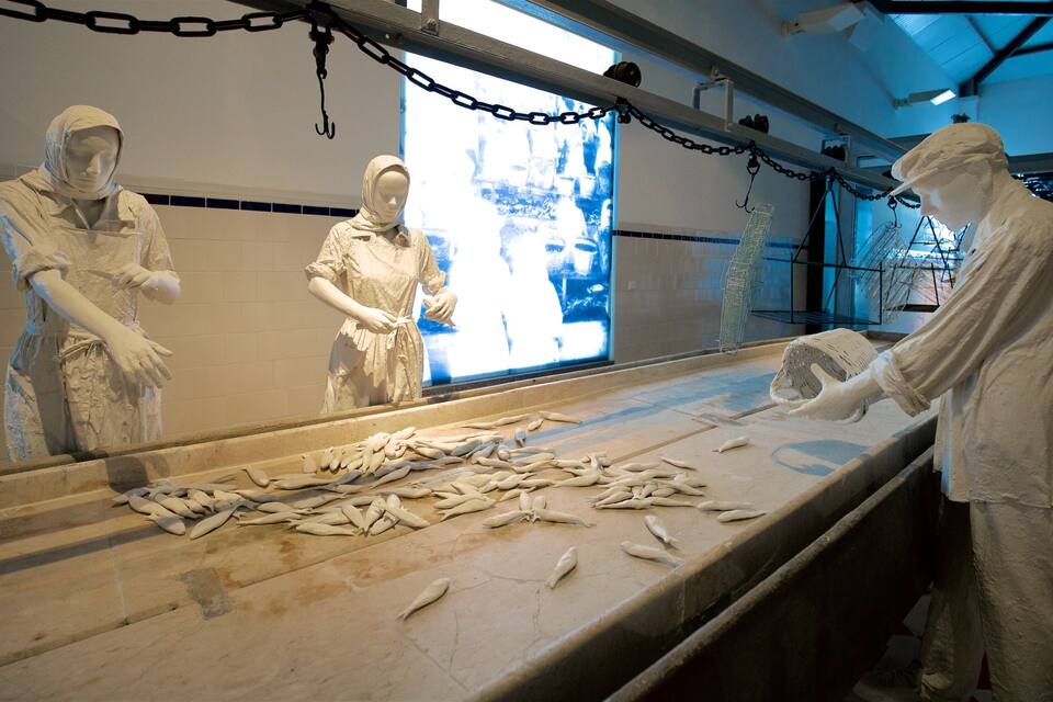 Une exposition dans un musée présentant trois statues blanches représentant des personnages vêtus de costumes traditionnels, entourées d’une collection de poissons exposée sur un comptoir.