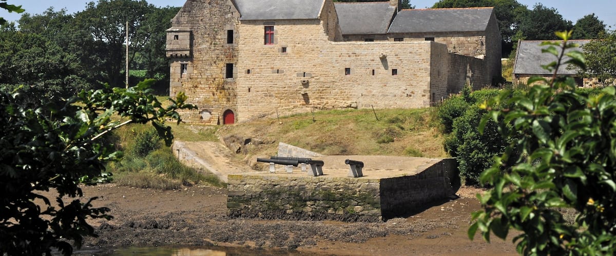 A historic stone castle with a moat and cannons, surrounded by greenery and trees.