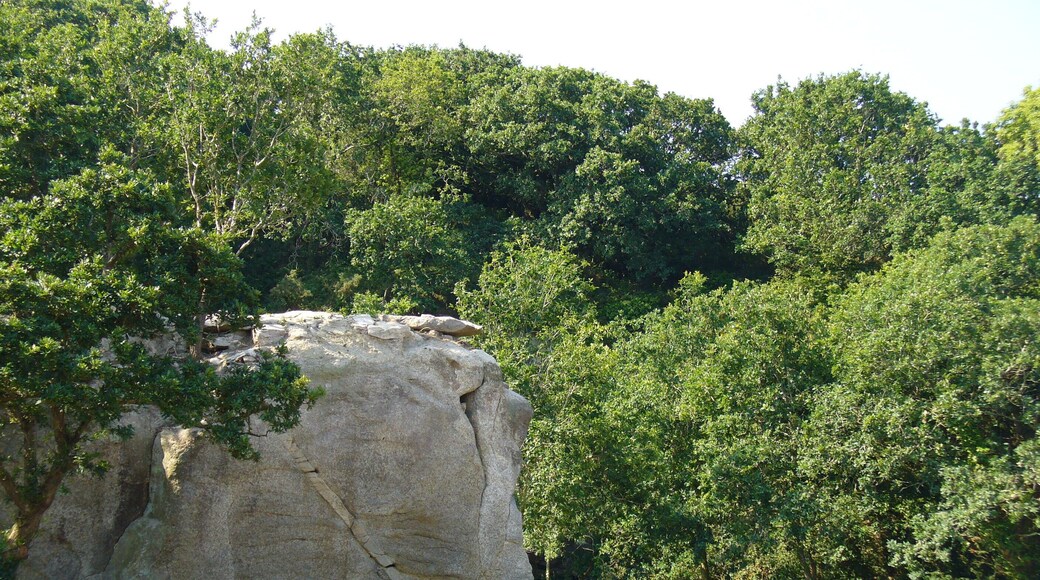 Front de taille de Chanter braz à Kerglonou, Plouarzel (29)
