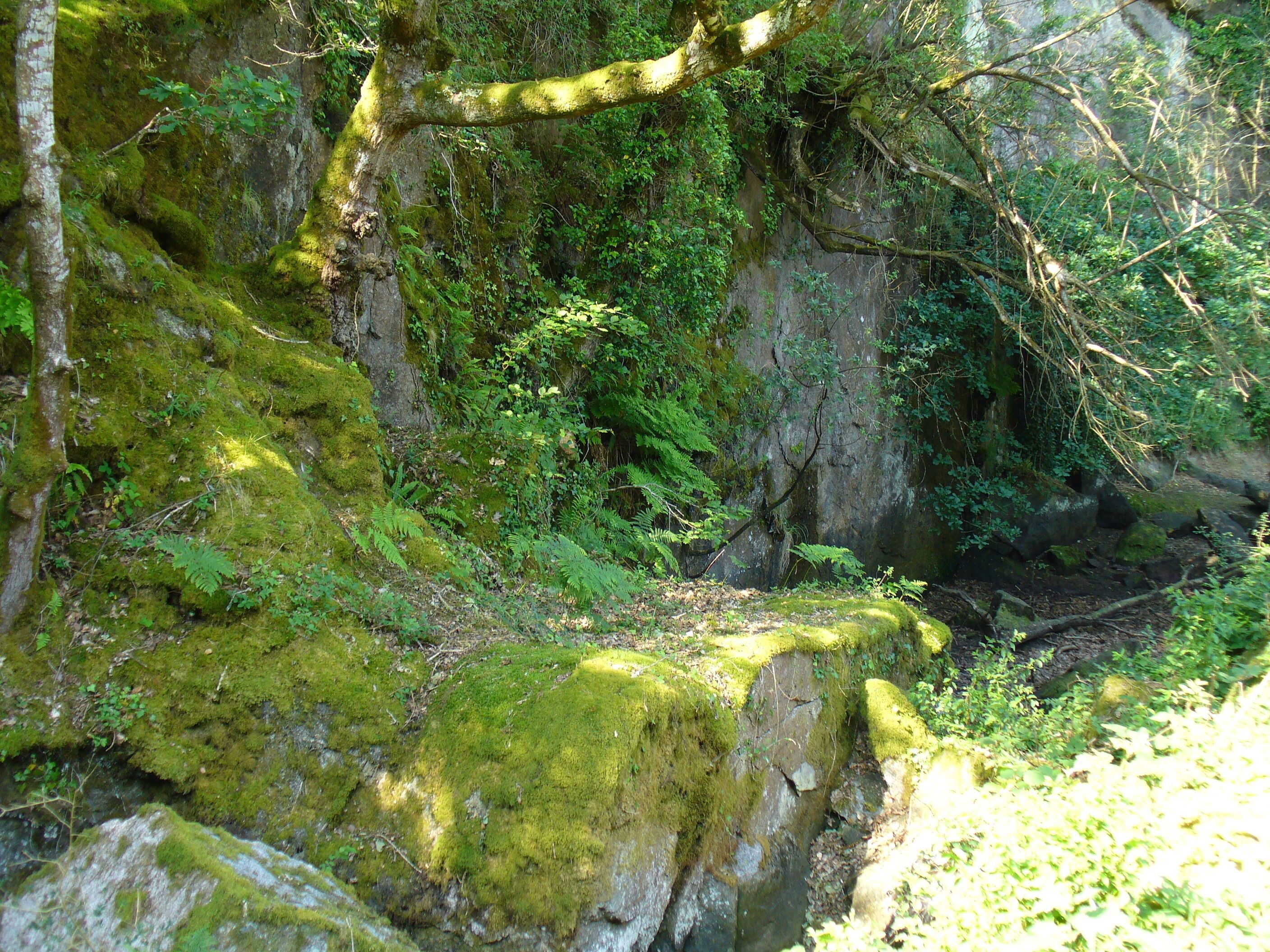 Front de taille de Chanter braz à Kerglonou, Plouarzel (29)