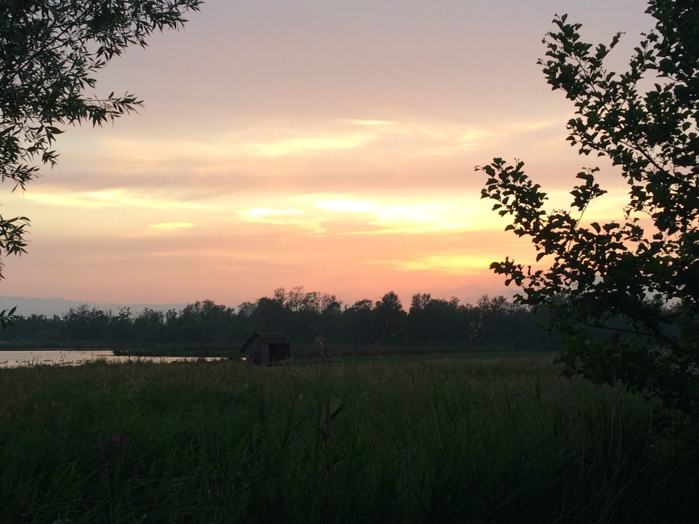 Just a view from the campsite