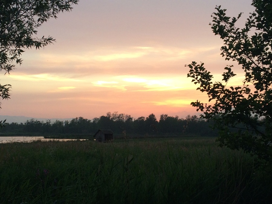 Just a view from the campsite