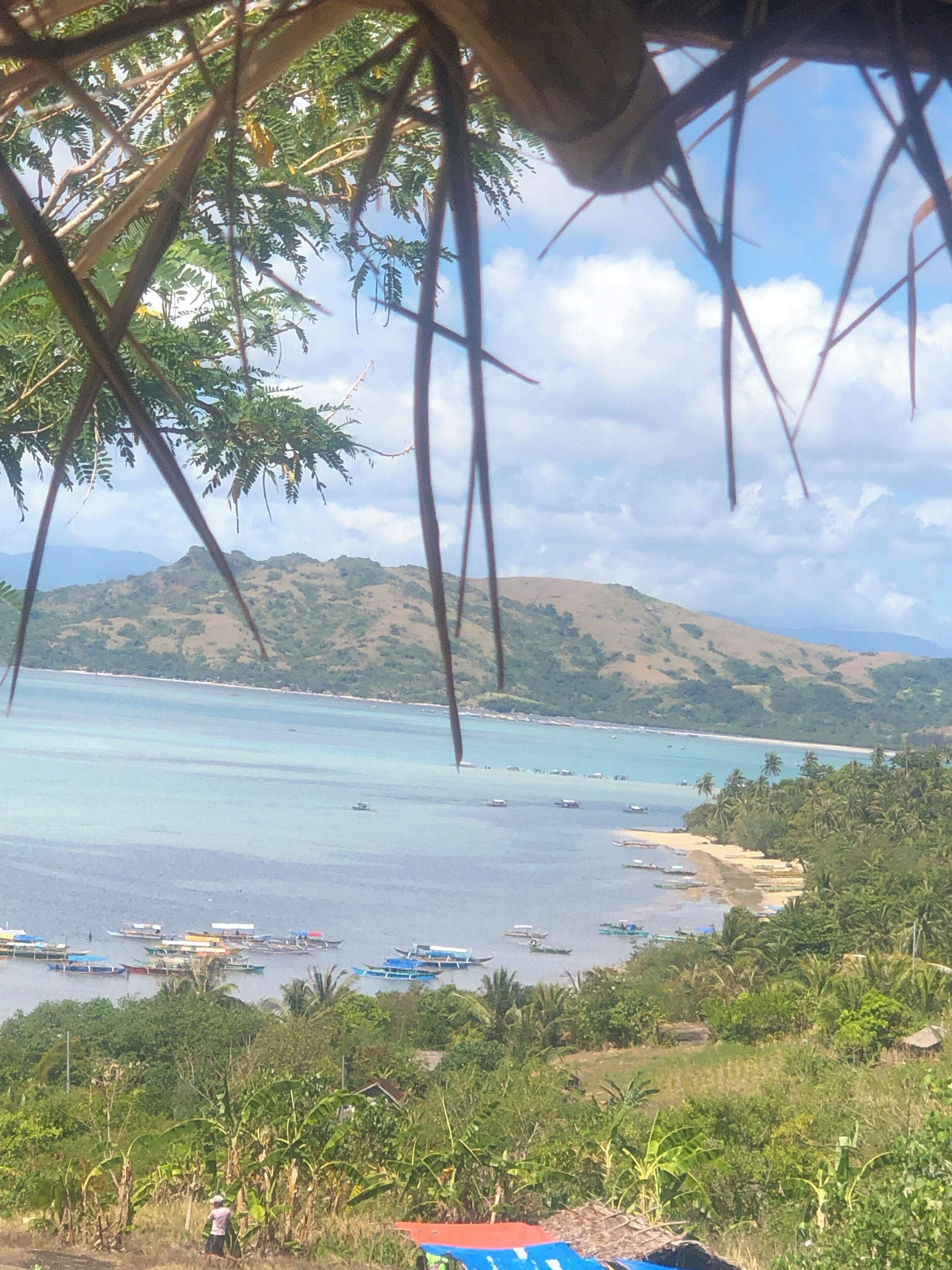 C A R A M O A N ❤️💚💙💛