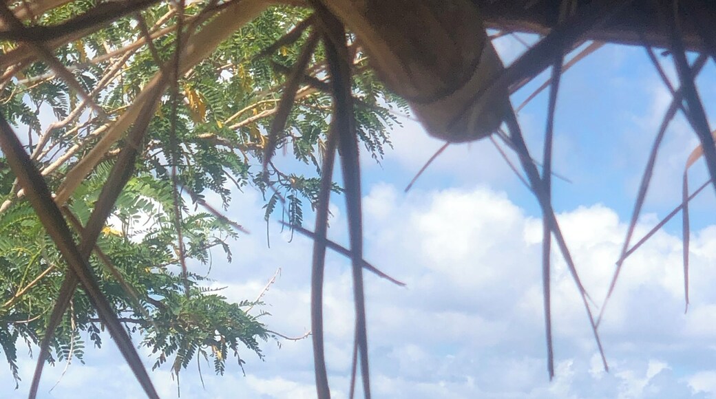 C A R A M O A N ❤️💚💙💛