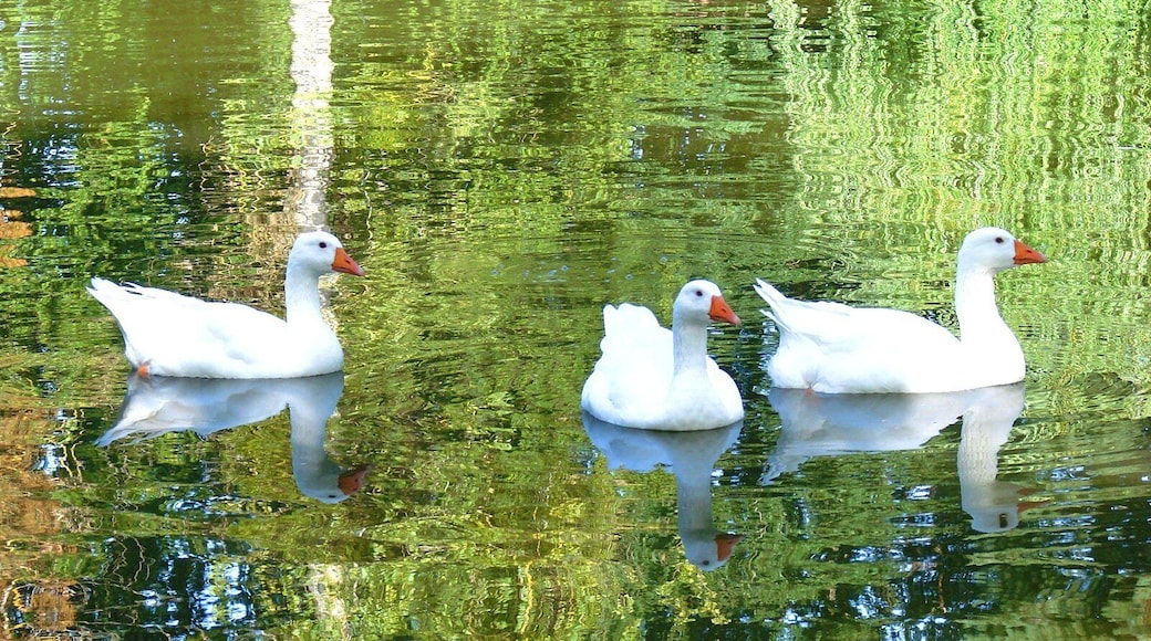 Le parc du Chalet Montegut à Coulandon www.hotellechalet.com/