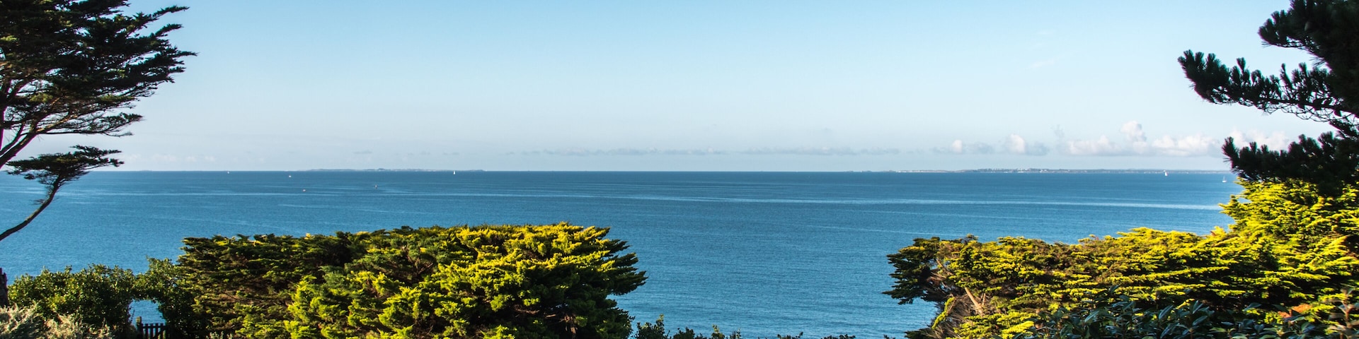 Un paisaje costero con vistas claras al mar, un horizonte urbano distante y abundante vegetación.