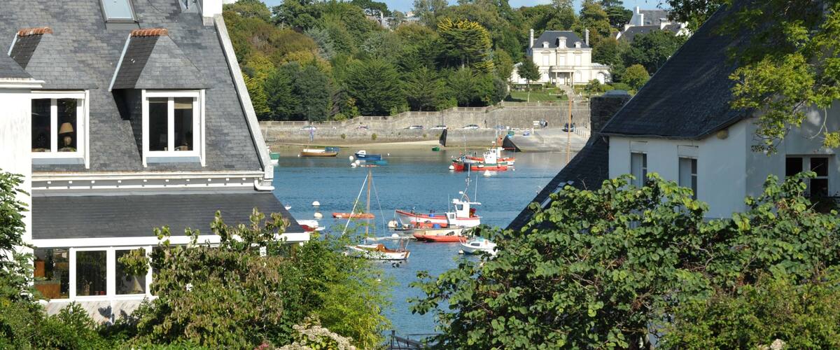 A harbor with boats, houses, and greenery.