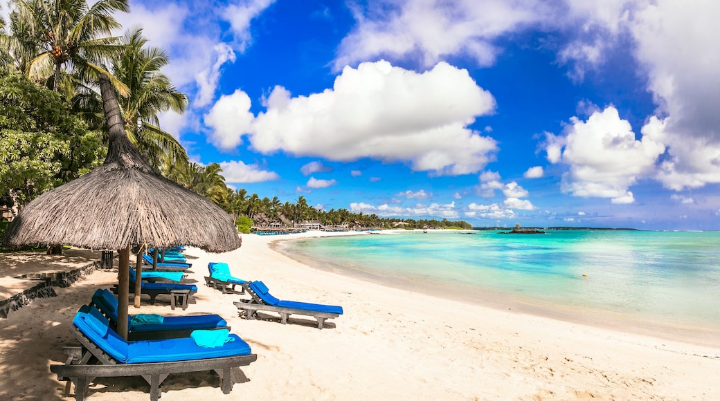 A beach with thatched umbrellas, blue lounge chairs, and clear turquoise water.
