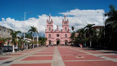 Una iglesia rosa grande con dos torres, rodeada de palmeras y una plaza pavimentada.