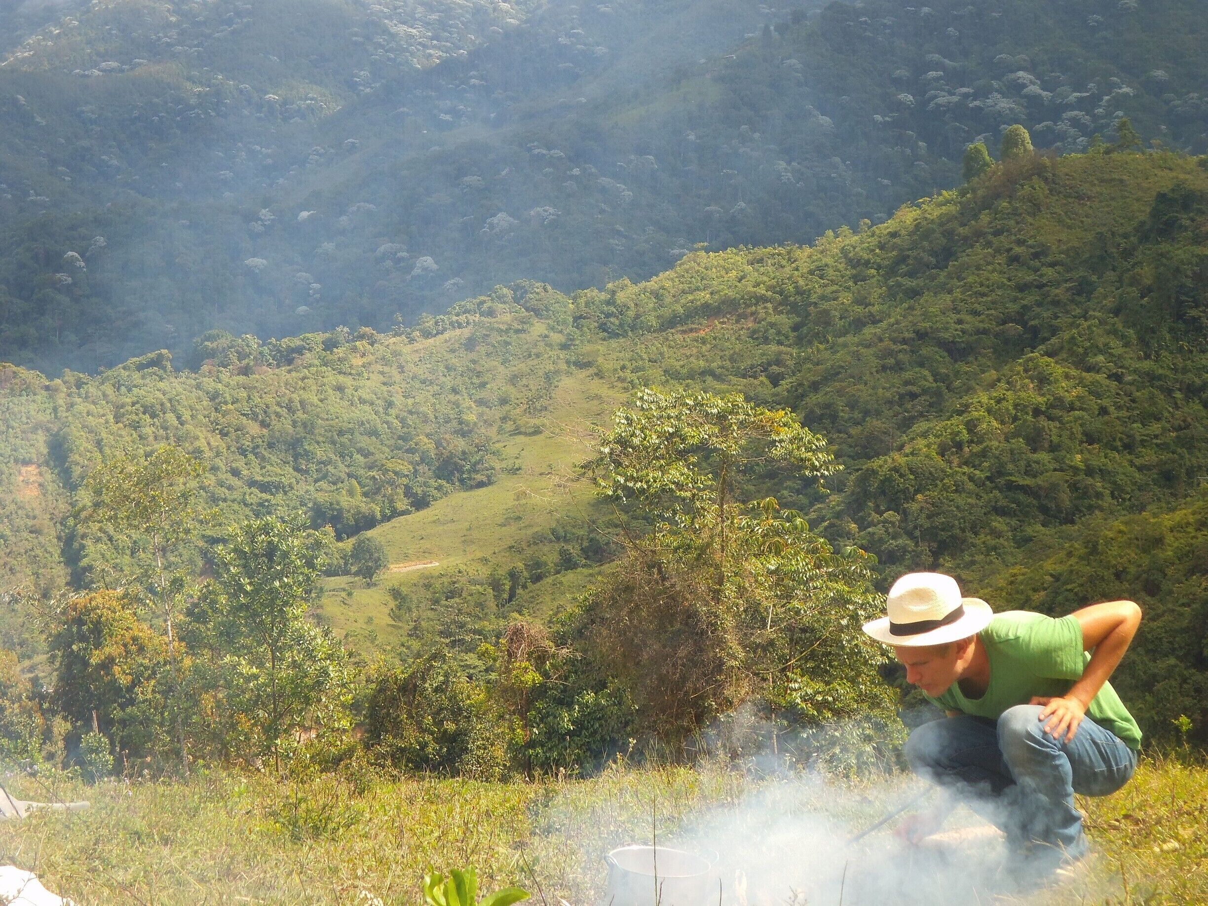 Timon and great background landscape 