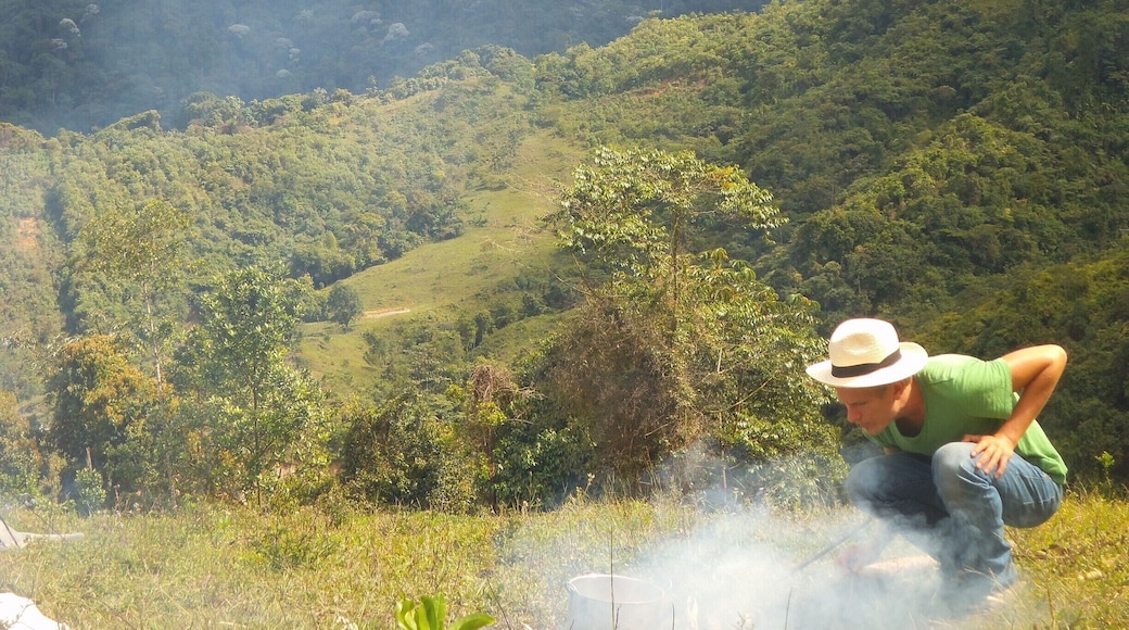 Timon and great background landscape