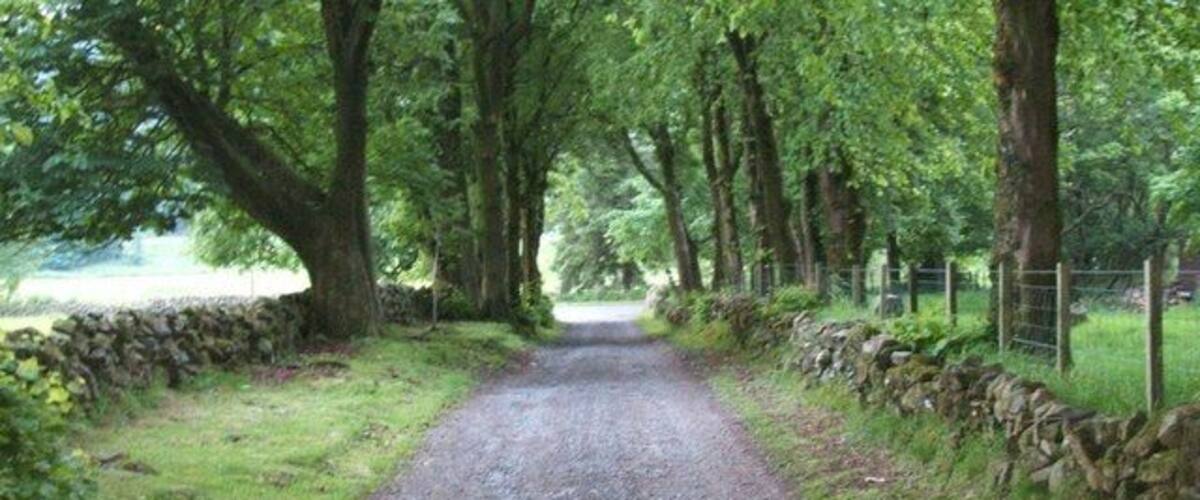 South From Craigannet Farm road leading back down to main B818