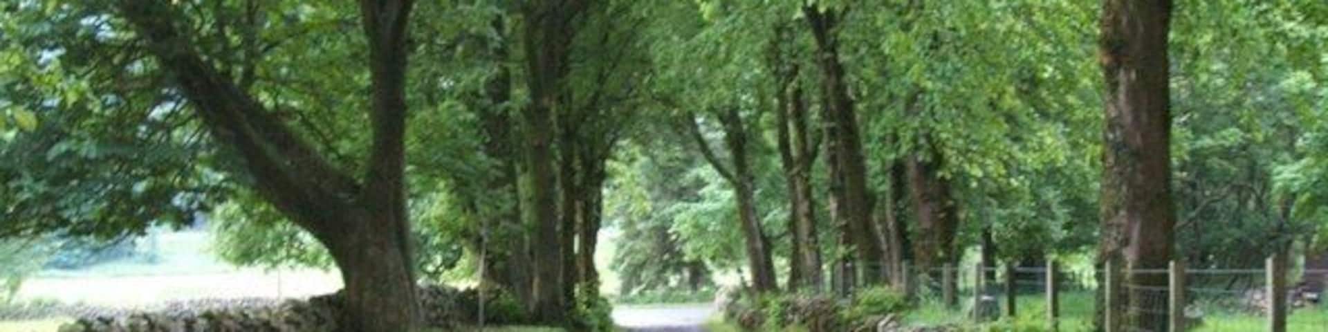 South From Craigannet Farm road leading back down to main B818