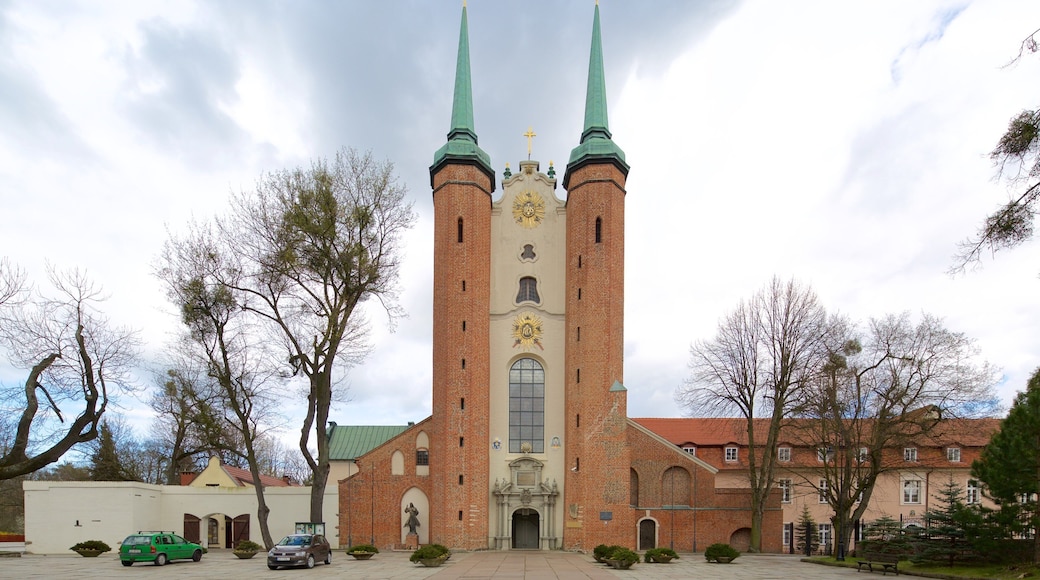 Oliwa Cathedral showing a church or cathedral and heritage elements