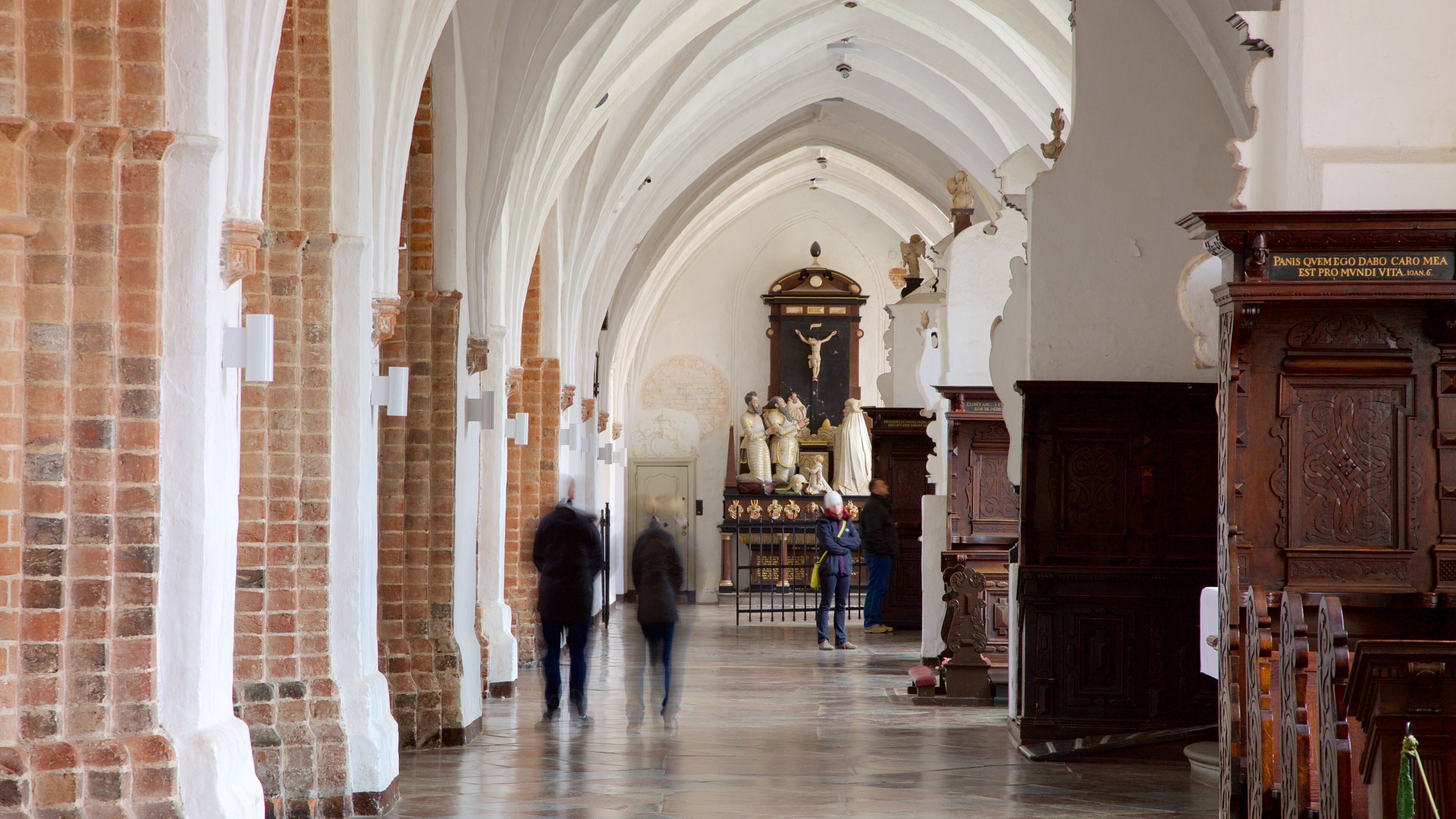 Oliwa Cathedral showing interior views and a church or cathedral