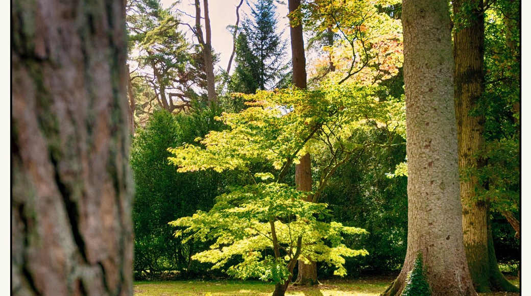 Great place for a walk, wheelchair/scooter friendly. Loads of places for a photo đ