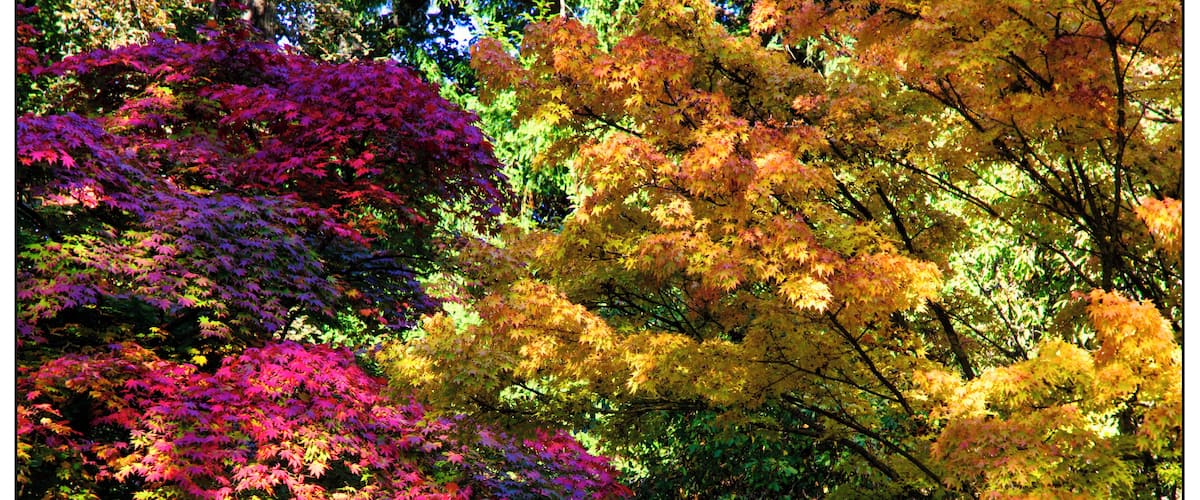 Wonderful place for autumn colours.