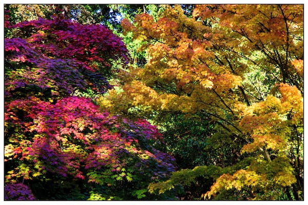 Wonderful place for autumn colours.