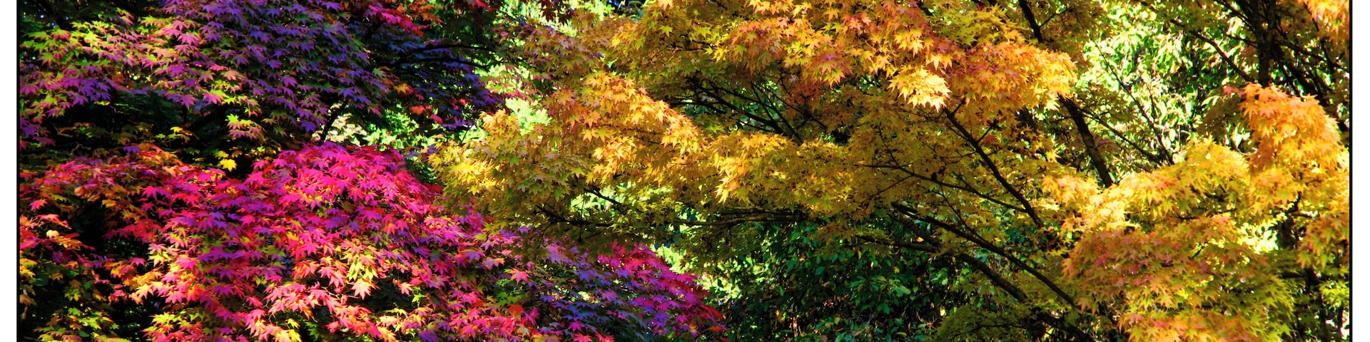 Wonderful place for autumn colours.
