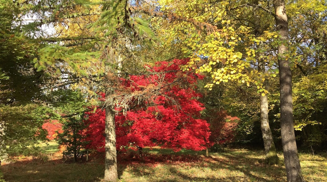 October was a glorious month in Westonbirt.
