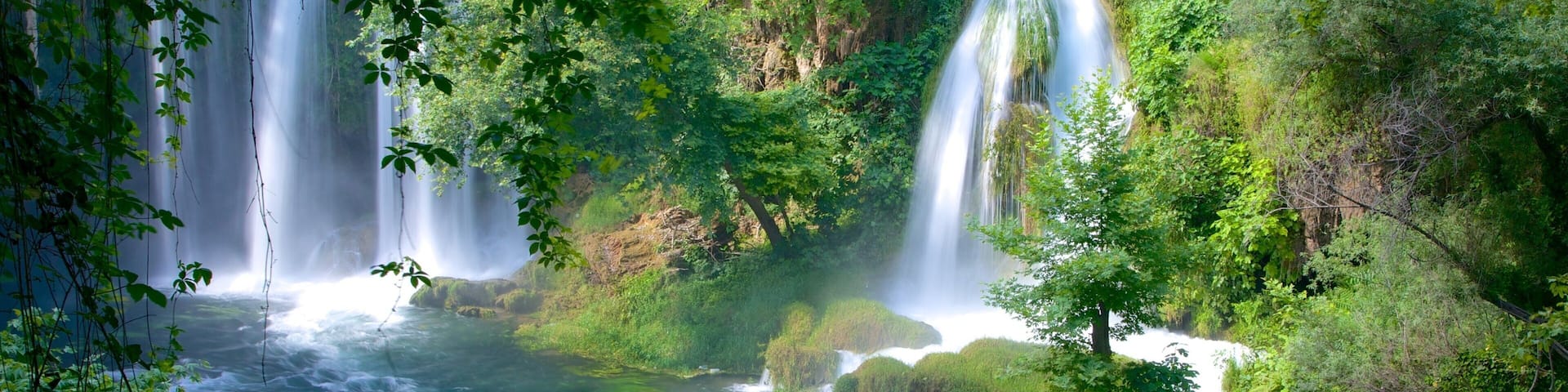 A waterfall cascading into a river surrounded by lush greenery.