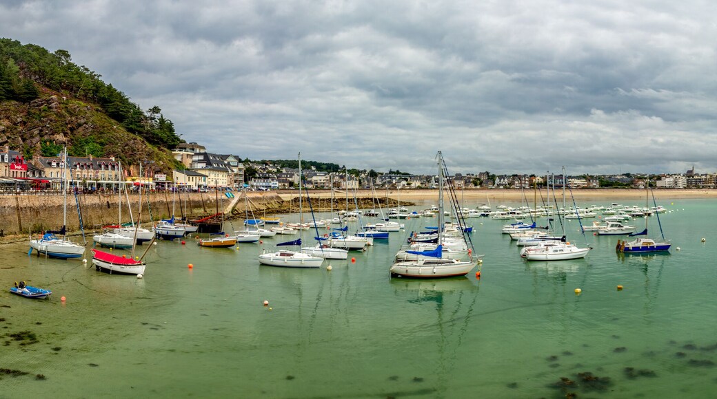 Bretagne-Côte d'Armor-Erquy