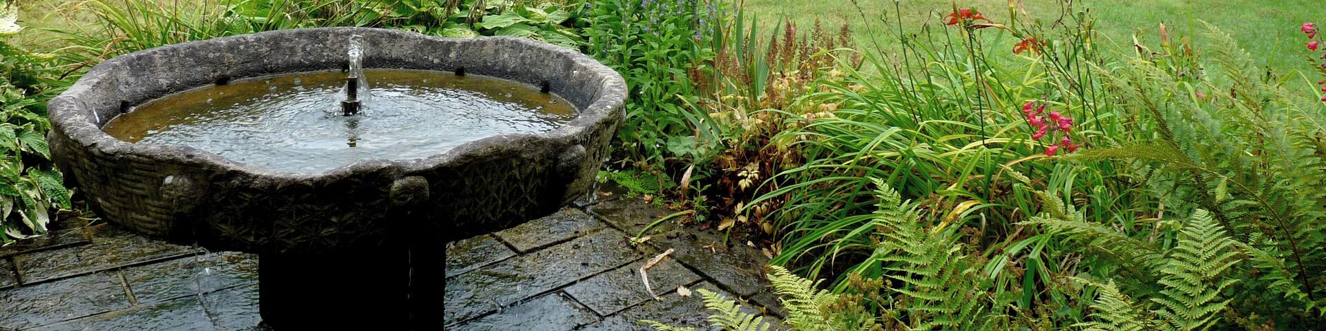 Visite à l'abbaye de Daoulas