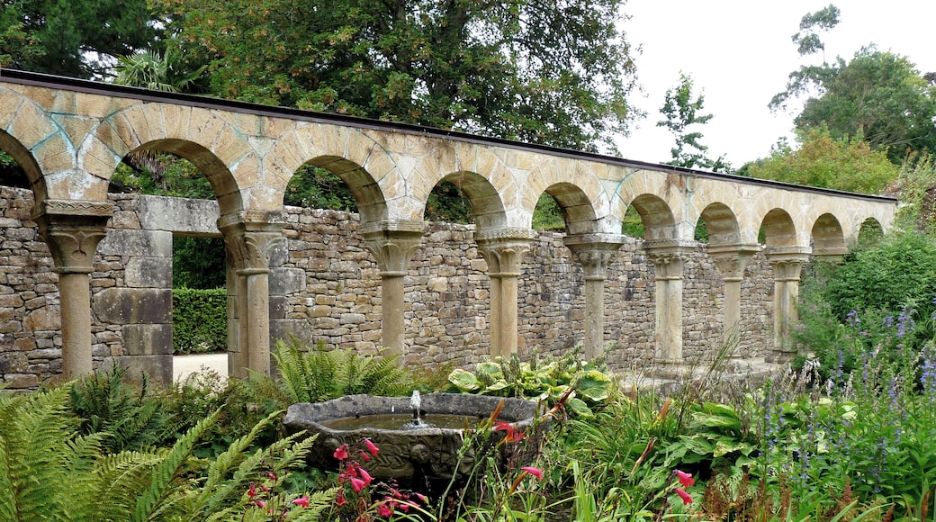 Visite Ă l'abbaye de Daoulas