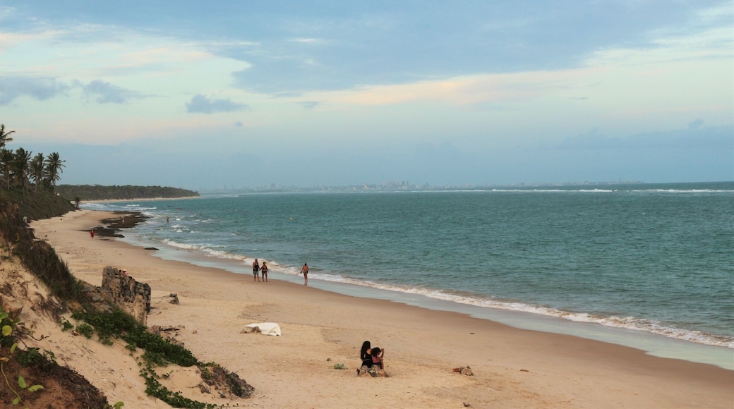 A beatiful day, a Good place To read a book...