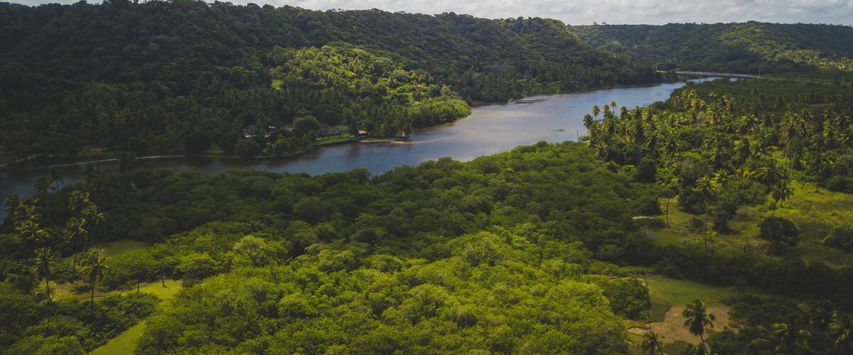 A river winding through a dense forest with a hill in the background.