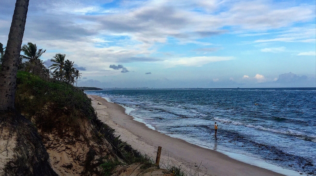 FrancĂȘs beach! A wonderful beach of MaceiĂł - Alagoas - Brasil.