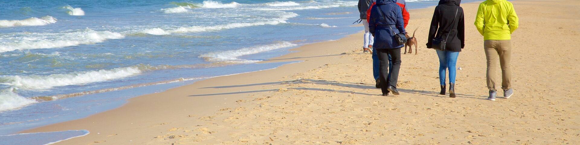 Jelitkowo Beach showing a beach as well as a small group of people