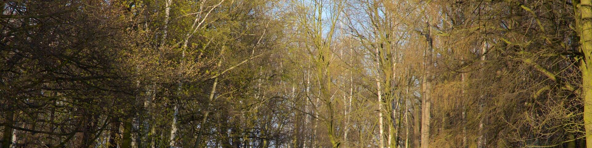 Jelitkowo Beach featuring a park