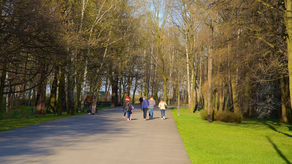 Jelitkowo Beach showing a park