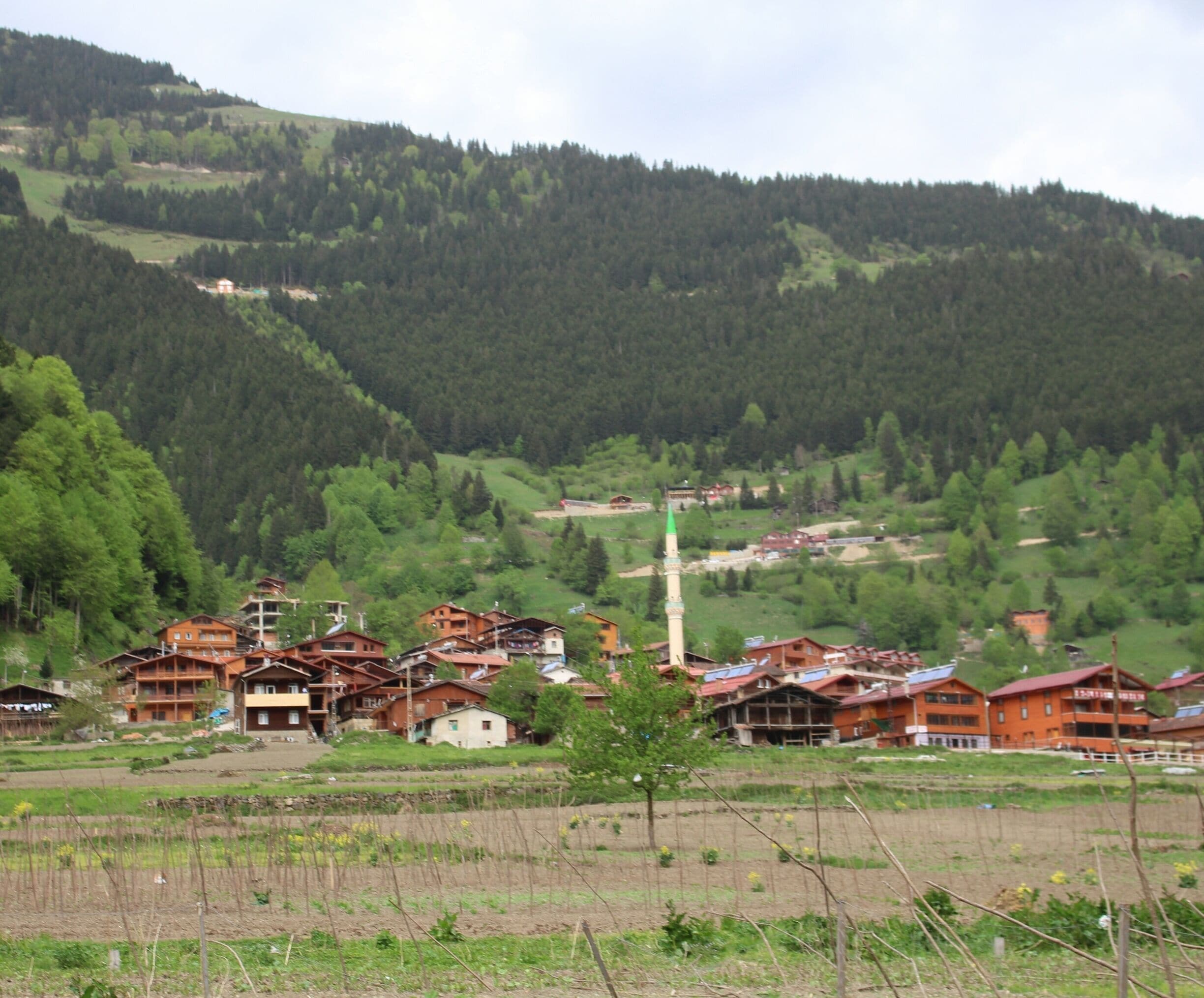 Uzungöl, Çaykara, Trabzon 
#SpringFun 