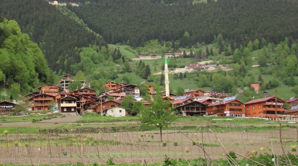 Uzungöl, Çaykara, Trabzon
#SpringFun
