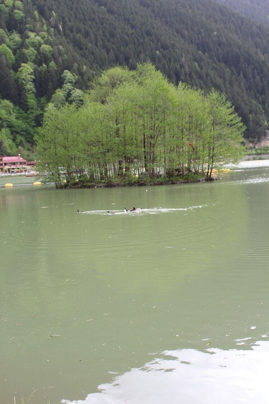 Uzungöl, Çaykara, Trabzon ,Turkey 
#SpringFun 