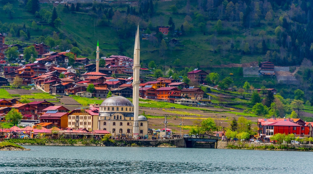 Beautiful landscape of the Uzungol