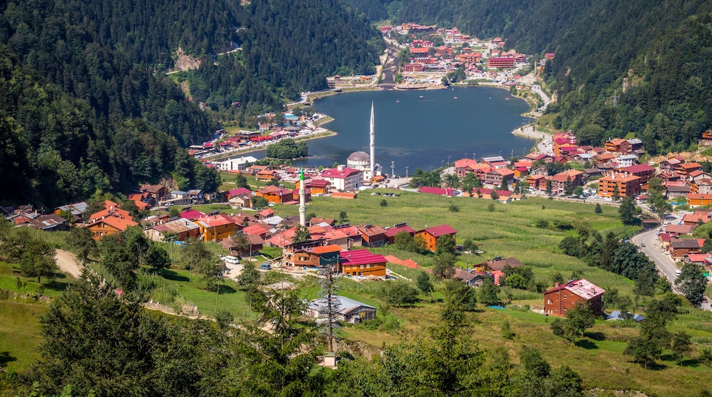 Uzungol(Long Lake):One of the most beautiful tourist places in Turkey.The mountain valley with a trout lake and a small village in Trabzon,Turkey.