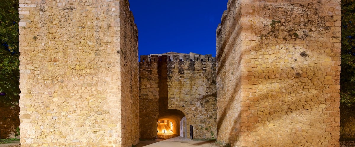 Arch of Sao Goncalo featuring heritage elements, night scenes and château or palace