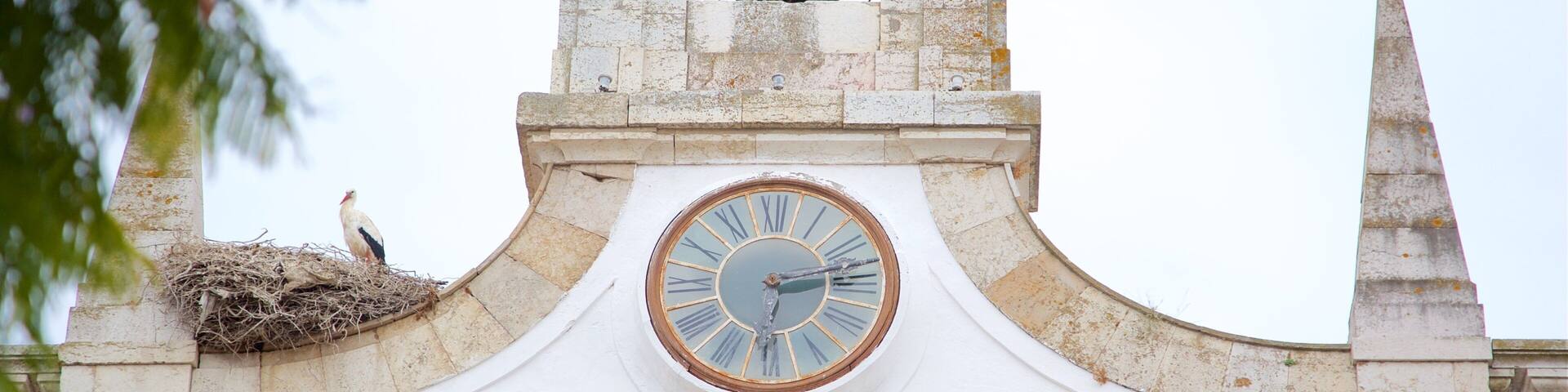 Vieille ville de Faro qui includes patrimoine historique