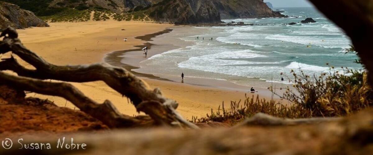Surf beach Praia do Amado, Bordeira - Portugal.
Experience surf beach, great waves, one of the best surf schools in this country! Surfers you need to come here!!! Camping structure close. ;-)
#surfbeach #surf #portugal #surfers #experiencbeach #praiadoamado