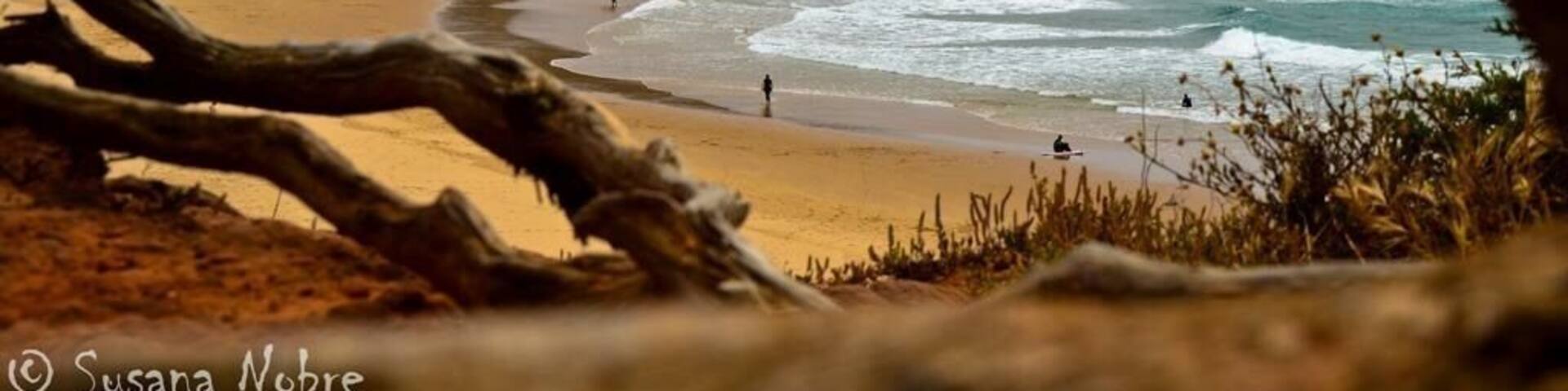 Surf beach Praia do Amado, Bordeira - Portugal.
Experience surf beach, great waves, one of the best surf schools in this country! Surfers you need to come here!!! Camping structure close. ;-)
#surfbeach #surf #portugal #surfers #experiencbeach #praiadoamado