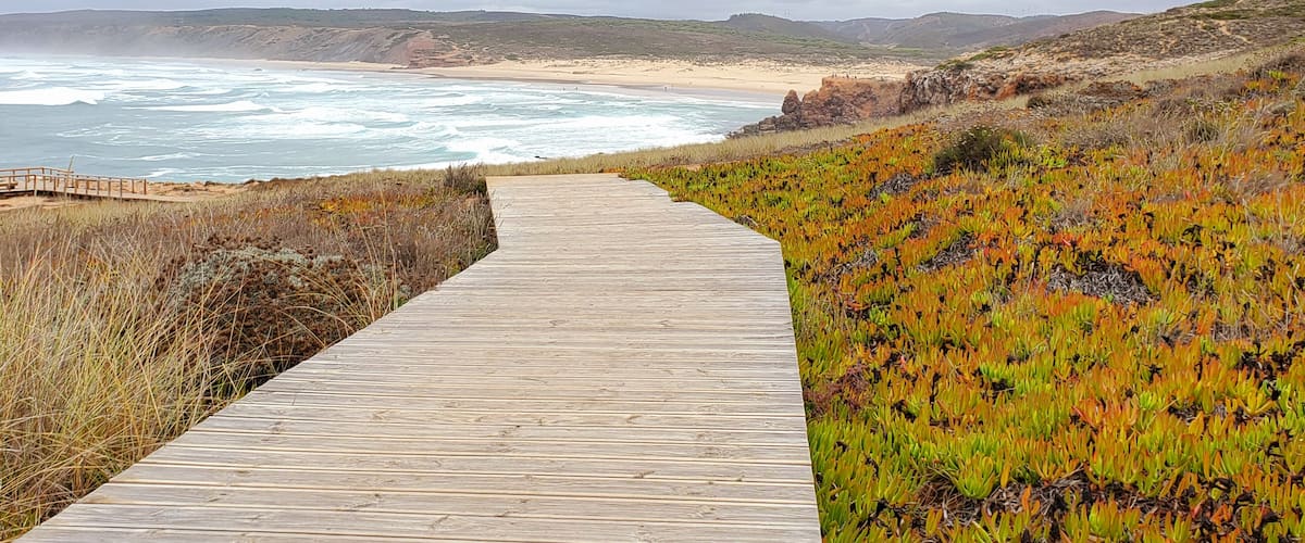 I love it when a path leads me to something beautiful! #trovember