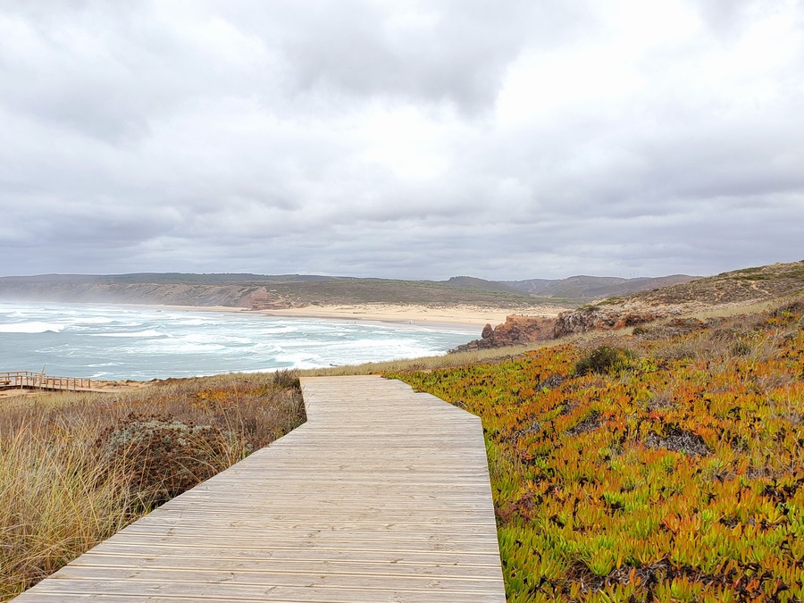 I love it when a path leads me to something beautiful! #trovember