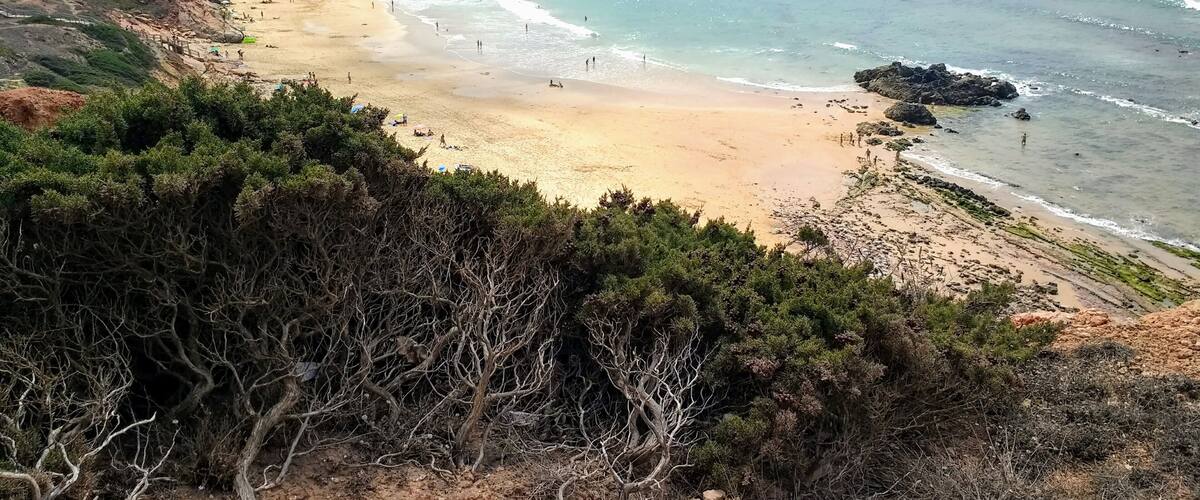 A coastal landscape with a sandy beach, rocky outcrops, and dense vegetation.