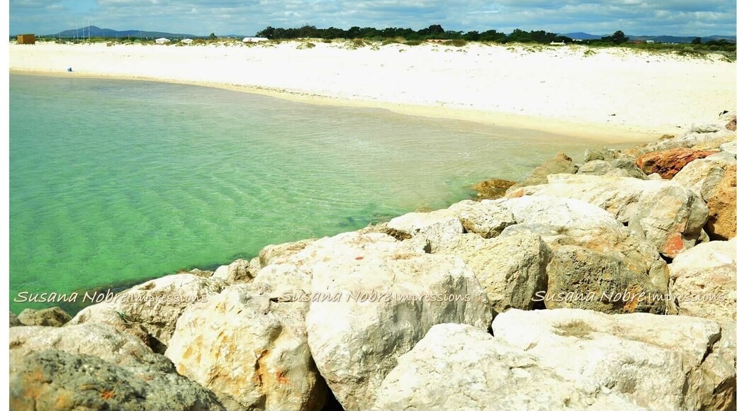 Tavira Island, Algarve - Portugal.
Tavira Island (Portuguese: Ilha de Tavira) is found South of the city and can only be reached by boat, which departs from the city center and from Quatro-Aguas. The Island is 11Km long and varies between 1Km and 150m width. It's considered to be one of the best beaches in the Algarve Region, and it includes areas where naturism can be practised without problems. The Island belongs to the Ria Formosa Natural Reserve, which is popular it's birds and flamingos, a delight for bird lovers.
The access to Tavira Island is provided by boats from Quatro Águas peer in Tavira. The parking areas are fairly large and organised. The beach has basic support facilities, like restaurants and toilets, and is supervised during the bathing season. This beach often holds the blue flag, proof of its environmental quality and superiority.
The Island includes a Camping Park and restaurants, which makes the place one of the most popular tourism destinies for Camping lovers. #nationalpark #riaformosa #taviraisland #Algarve #Portugal #Beach #NaturalReserve #campingpark #ecology #bestSpots #sportactivities #landscape #naturespot